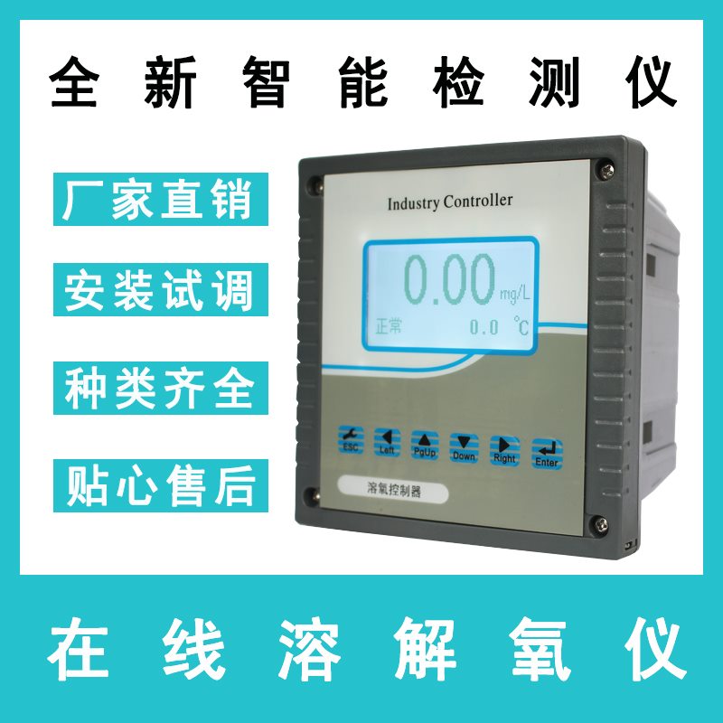 在线溶氧仪