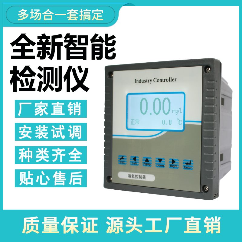 在线溶氧仪