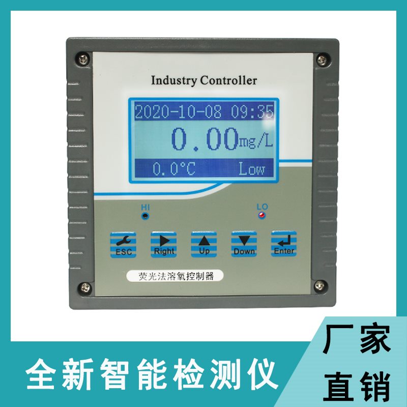 在线溶氧仪
