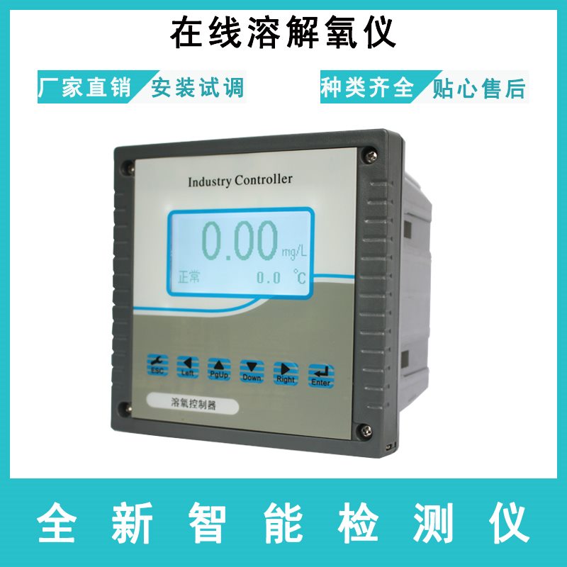 在线溶氧仪